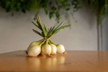 onions on table