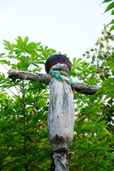 Scarecrow bird, animal, nature, tree, wildlife, wild, beak,