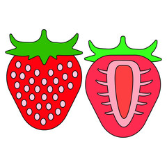 isolated illustration of a strawberry in colour in vector