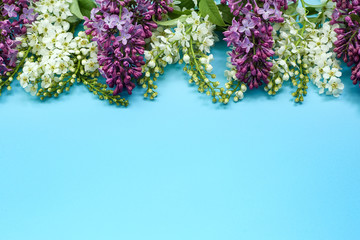 bird cherry flowers and lilacs on blue background