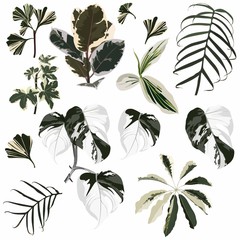 Realistic illustration set of tropical leaves and plants isolated on white background. Detailed colorful plant collection. Botanical elements for cosmetics, spa, beauty care products.
