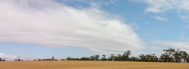 panoramic image of a cloudy blue sky over dry grassy farmland in rural Victoria, with silos on the horizon and native trees, Australia