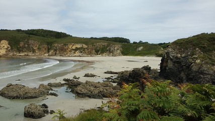 Obraz premium beach with rocks