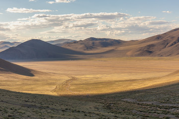 Fototapeta na wymiar Dry Mongolian landscapes in the Altai Mountains, wide landscape. Yurt camp