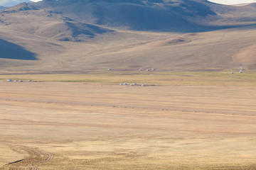 Obraz premium camp of yurt , in the grassland of Mongolia