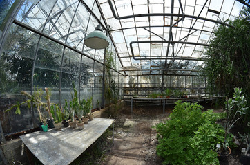 A botanical garden. The plants in the botanical garden, a fisheye lens photo