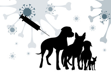 Vector silhouette of dogs with vaccination symbol injection on white background. Sign animal testing character.