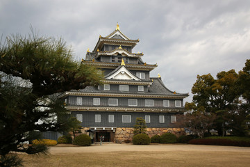 Fototapeta premium castle okayama