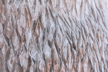 Wood carving. Patterns on wood. Abstract background with patterns on a tree cut
