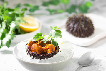 Sea urchin in a ceramic bowl with ice on a gray table. Sea urchin dish
