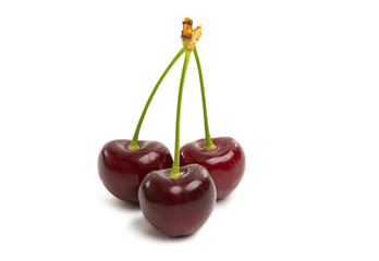 sweet cherry isolated