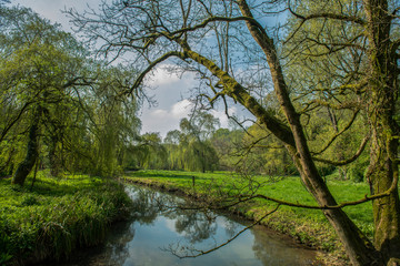 Fototapeta na wymiar Countryside in Castle Combe Village, Cotswolds, Wiltshire, UK
