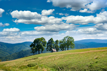 Obraz premium Panoramic view over Carpathian Mountains, Romania during summer time