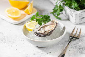 Oysters in a gray bowl with ice on a light gray table. Healthy seafood