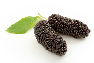 fresh and ripe mulberries background