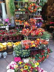 Fototapeta na wymiar flower market in barcelona