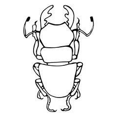 Vector illustration of an insect-beetle in the Doodle style, black outline on an isolated white background. Can be used for books, Wallpapers, postcards, banners, fabrics, textiles