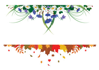 Set of season vector dividers with summer wild flowers and autumnal leaves
