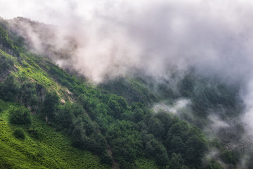 The green slopes of high mountains are hidden in clouds and fog.