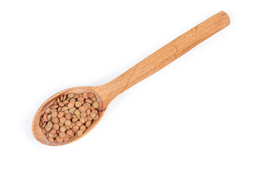 Raw brown lentil in wooden spoon on a white background