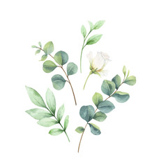 Watercolor vector card with eucalyptus leaves and roses.