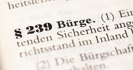 Bürge in § 239 BGB