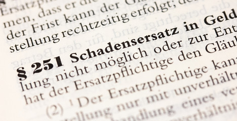 Schadensersatz in Geld in &sect; 251 BGB