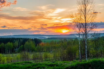 colorful summer sunset