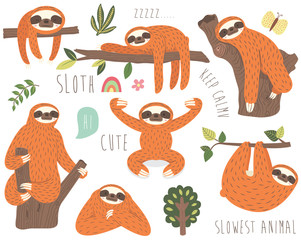 Cute Sloth Vector Collection Set