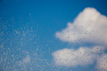 高速シャッターで撮った噴水の水滴と青空
