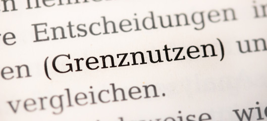 Grenznutzen