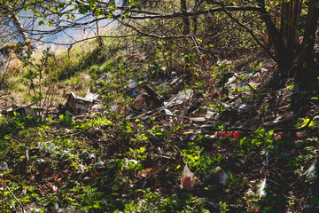 a lot of trash in forest