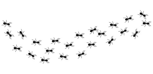 Ant column. Black insect silhouettes trip. Teamwork, hard work metaphor. Forest life, isolated ants marching vector illustration. Ant black, teamwork colony group, unity row working
