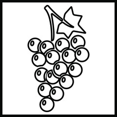 isolated illustration of a grapes in black in vector