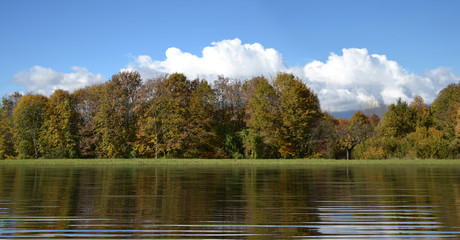 Meadow with green grass and trees with blue sky in the background, lake reflections