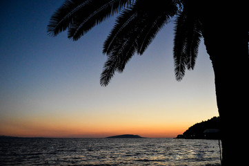 Zachód słońca z palmy