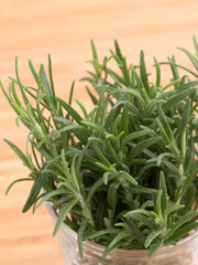 ハーブ　ローズマリー