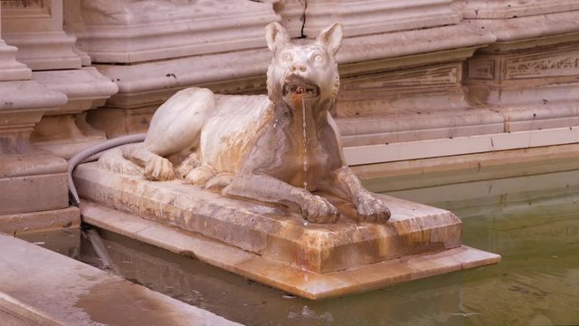 Old fountain, statue of dog. Architecture and landmark of Italy. Water drops splashing and dripping on fountain surface in old european city.