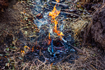 Wooden camp fire