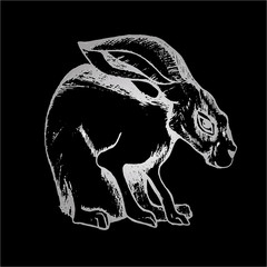 Illustration of a hare in the hatching style. Good animal. © Aleksandra