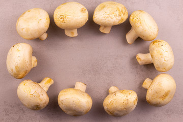 Fresh porcini mushrooms on a gray background. View from above. Arranged in a circle in a row. Copyspace for text.