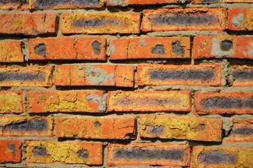 Fototapeta premium red brick wall