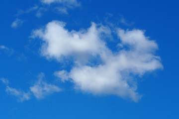 Fototapeta premium A light white cloud against a blue sky on a spring day