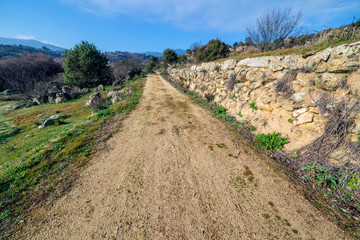 Camino con valla en el Valle del Alberche. Cebreros. Avila. España. Europa.