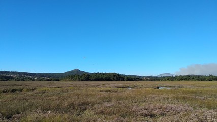 landscape with a mountain