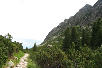 
The route to the Teryego Cottage in the Slovak Tatras