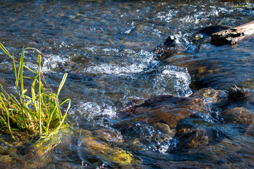 Close up of stream of Tamagawa River in Tokyo, Japan