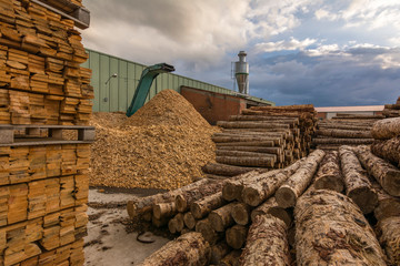 Sawmill for the treatment and processing of pine wood - obrazy, fototapety, plakaty