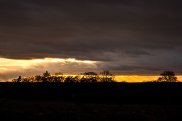 Sunset over fields with tree silhouettes