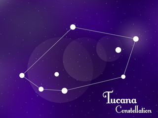 Fototapeta na wymiar Tucana constellation. Starry night sky. Cluster of stars, galaxy. Deep space. Vector illustration